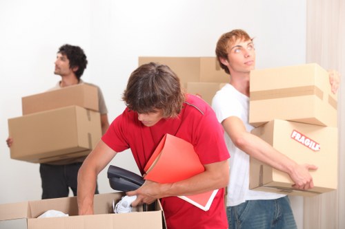 Secure document storage options in Tulsehill for organised archive management